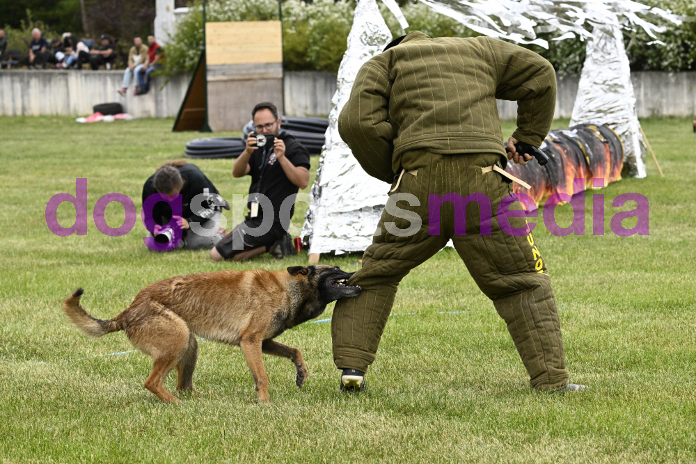 Preview _JRI_21075.jpg